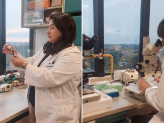 Científicas logran avances en la prevención del dolor causado por la quimioterapia
