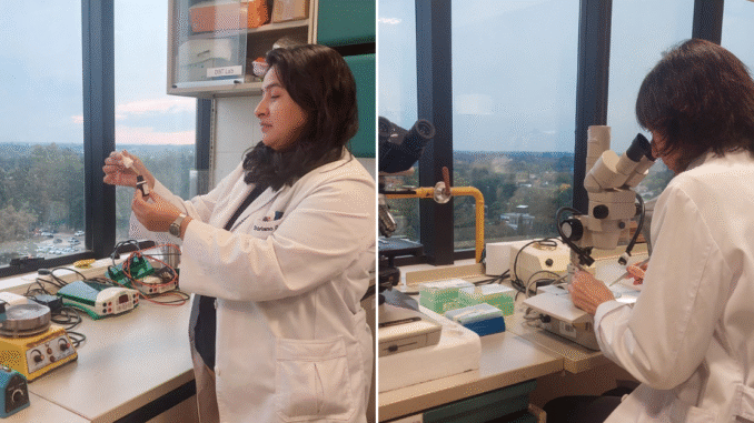 Científicas logran avances en la prevención del dolor causado por la quimioterapia