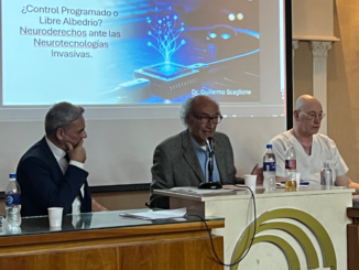 Leyes y cerebro: un encuentro para pensar al Derecho desde la perspectiva de las neurociencias