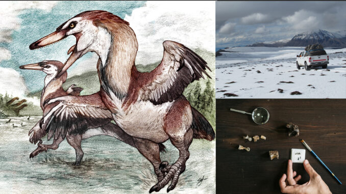 Nueva especie de dinosaurio argentino: hallan un raptor de 70 millones de años en la Cordillera de los Andes